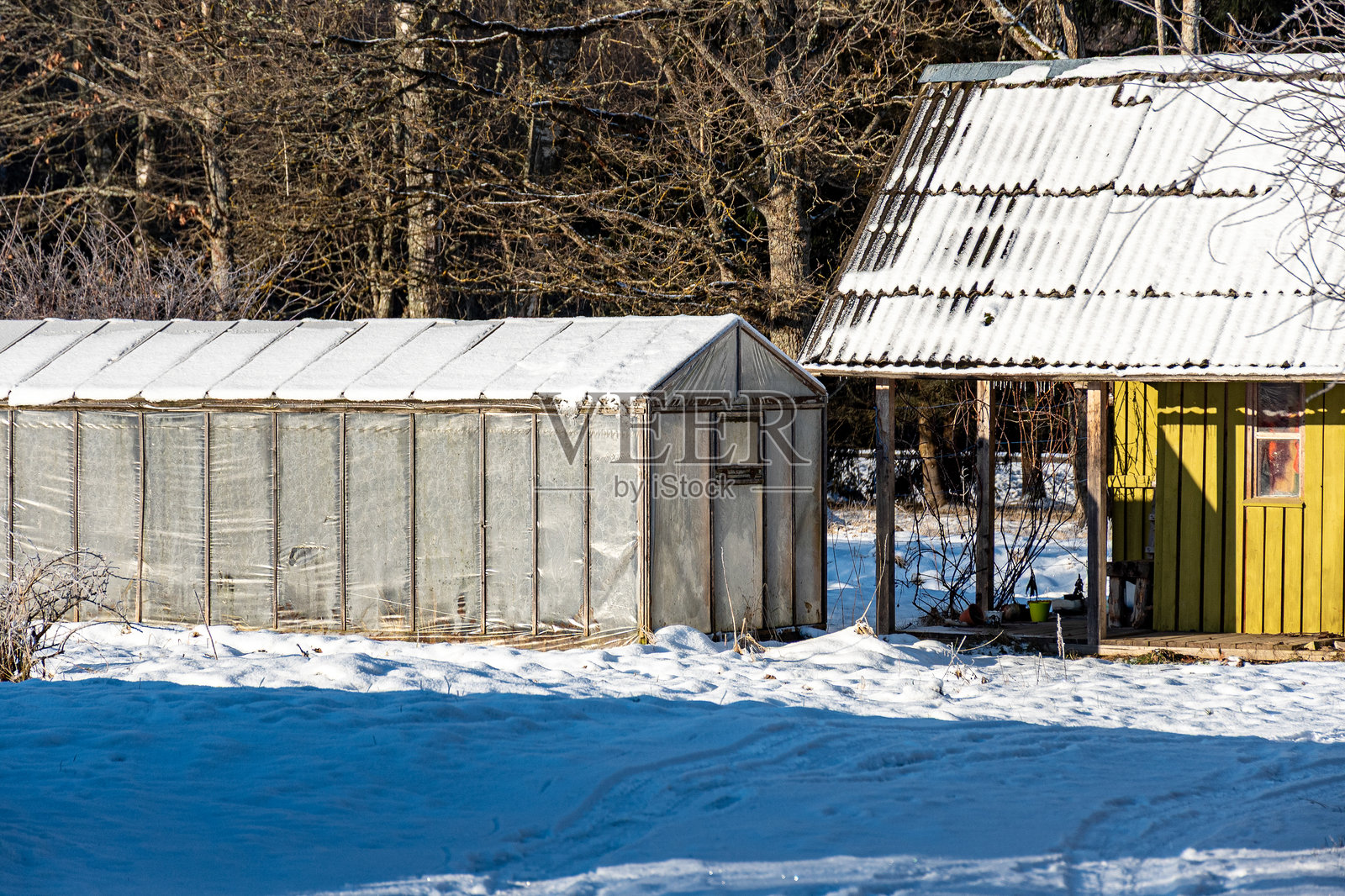美妙的冬日，树木和草地覆盖着霜，花园里的温室。照片摄影图片