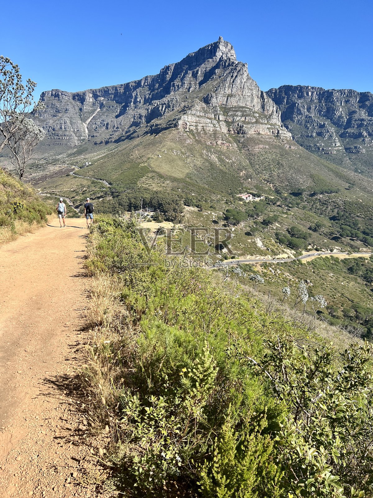 通往南非开普敦狮头山的徒步小径照片摄影图片