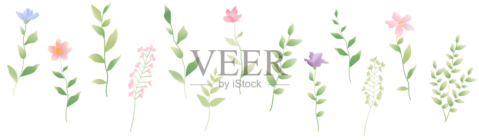 春天的花朵与纯白背景插画图片素材