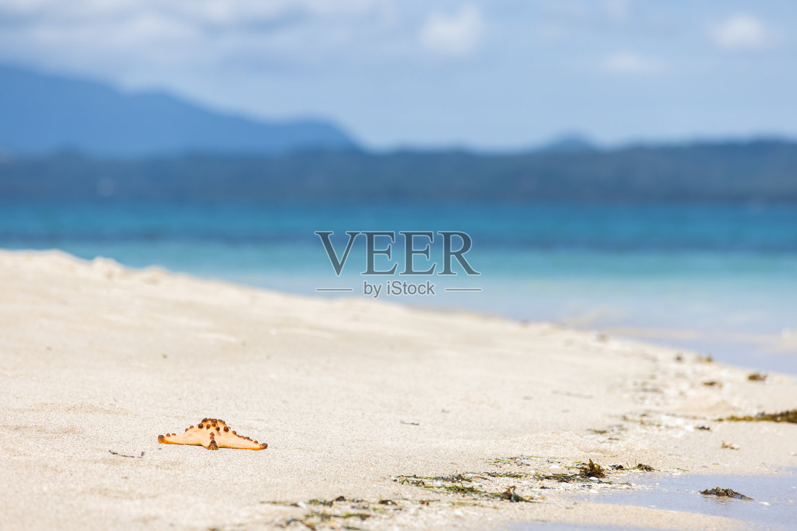 大海星矗立在海洋附近的沙滩上。苏禄海，巴拉望岛。照片摄影图片