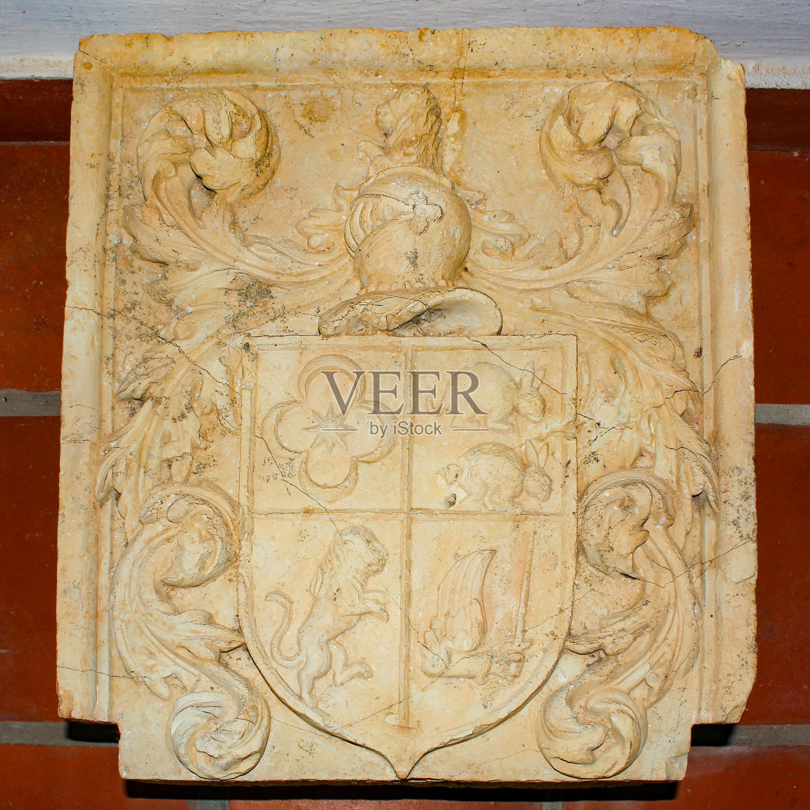 巴西帝国家族的纹章照片摄影图片