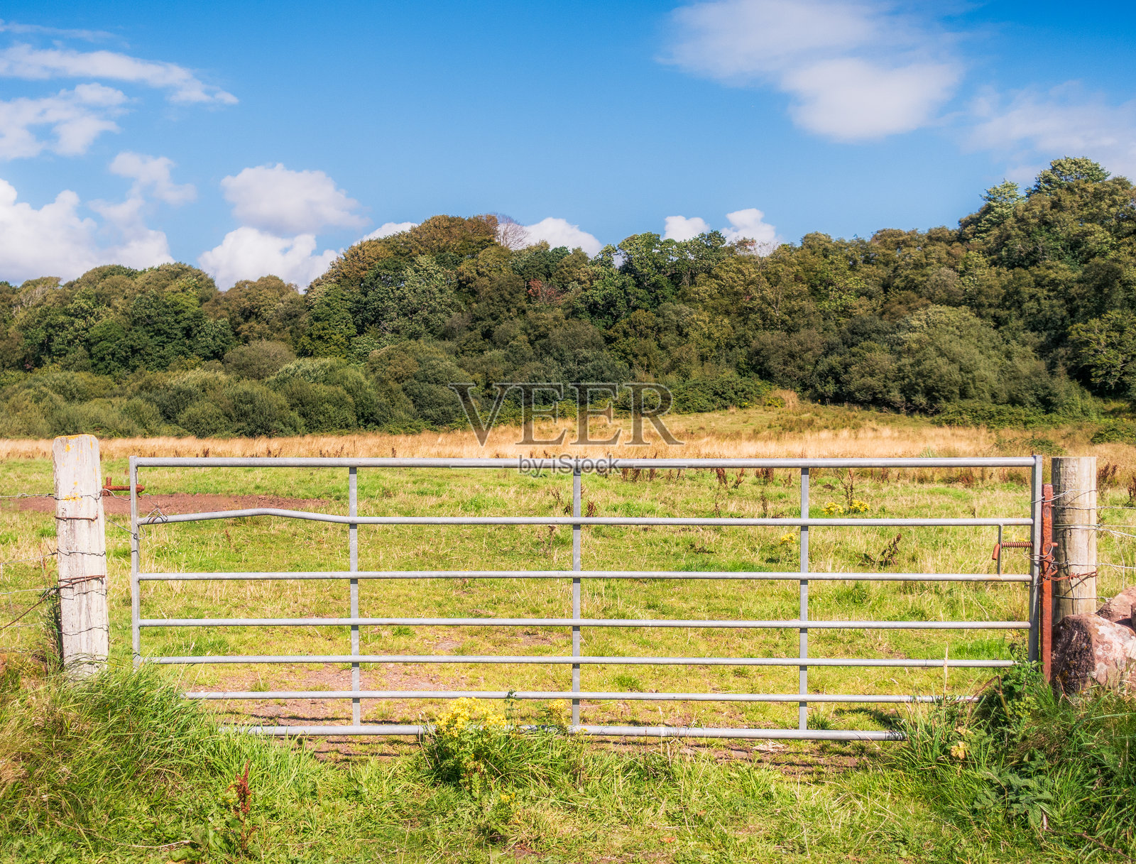 通往英格兰田野的门照片摄影图片