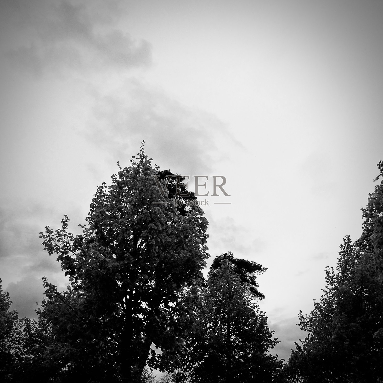 法国凡尔赛照片摄影图片