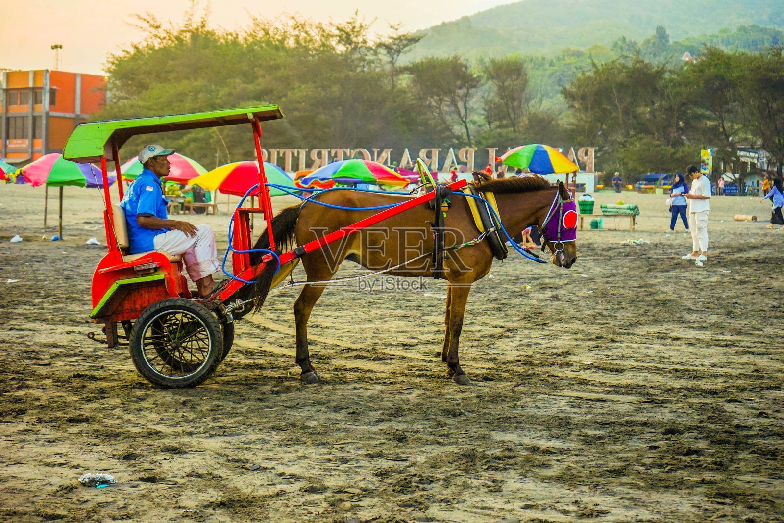 马车随时待命,等待着游客照片摄影图片
