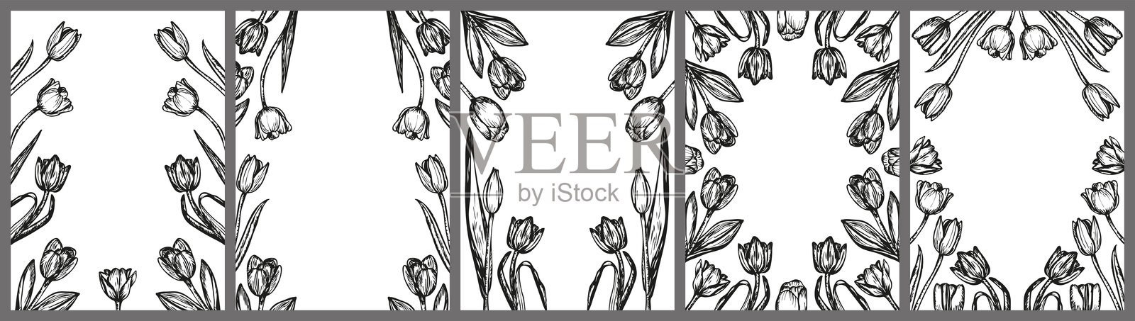 郁金香花框架素描轮廓插图横幅背景集。郁金香花春季植物涂鸦绘画，采用雕刻风格。手绘矢量线条艺术。插画图片素材