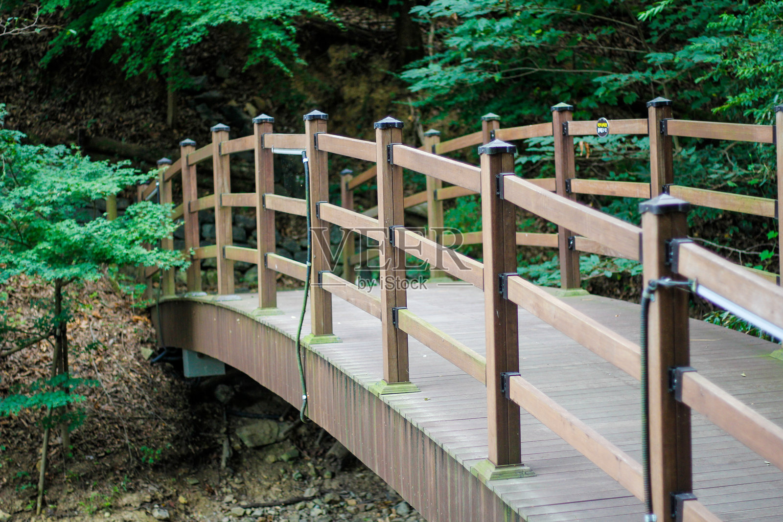 在树林中漫步的长长步道和楼梯照片摄影图片