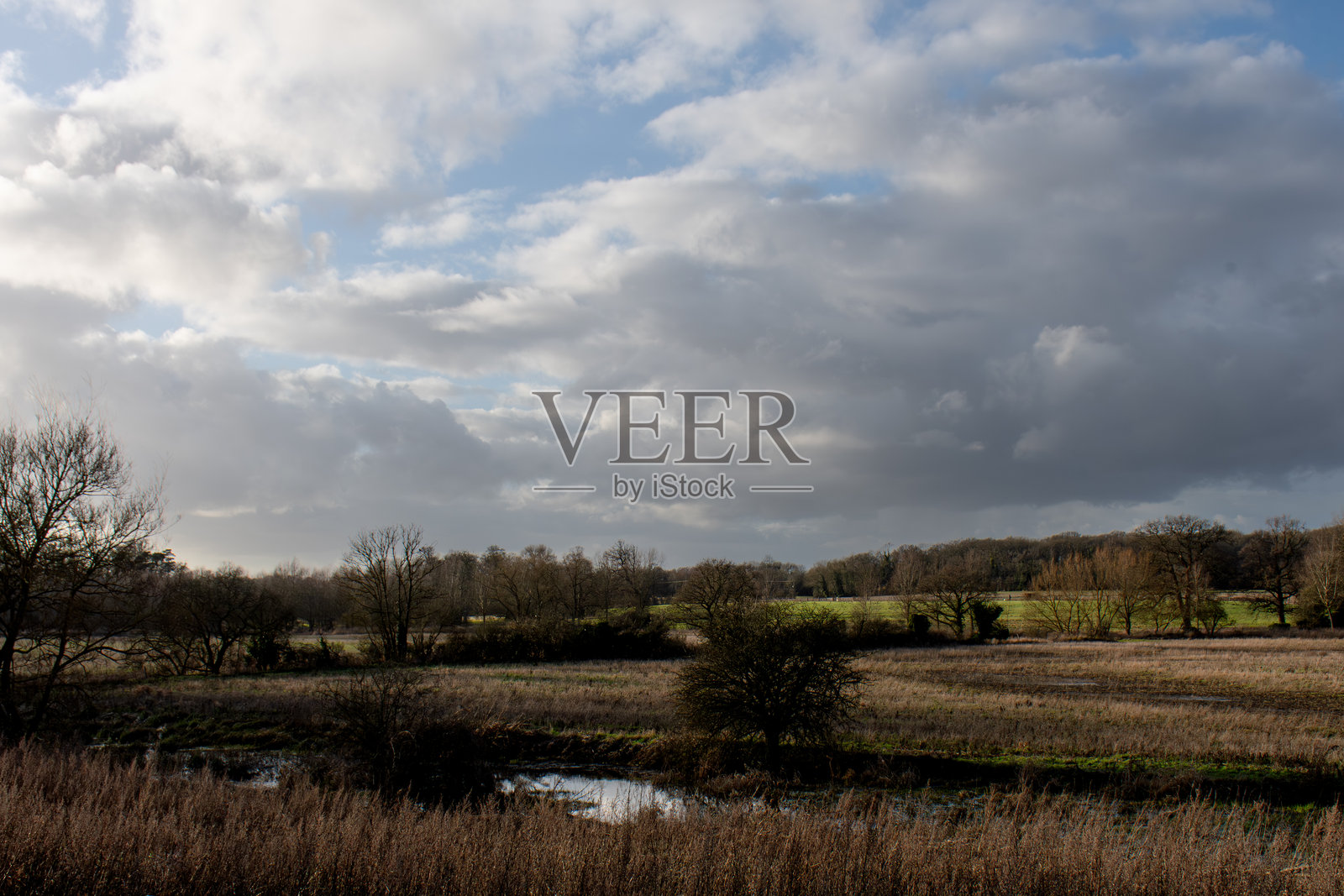 阴郁的英格兰乡村景色照片摄影图片