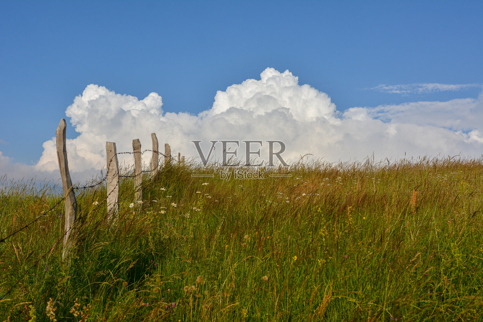 乡村风格的围栏环绕着草地，明亮的天空中飘着蓬松高耸的积云。照片摄影图片