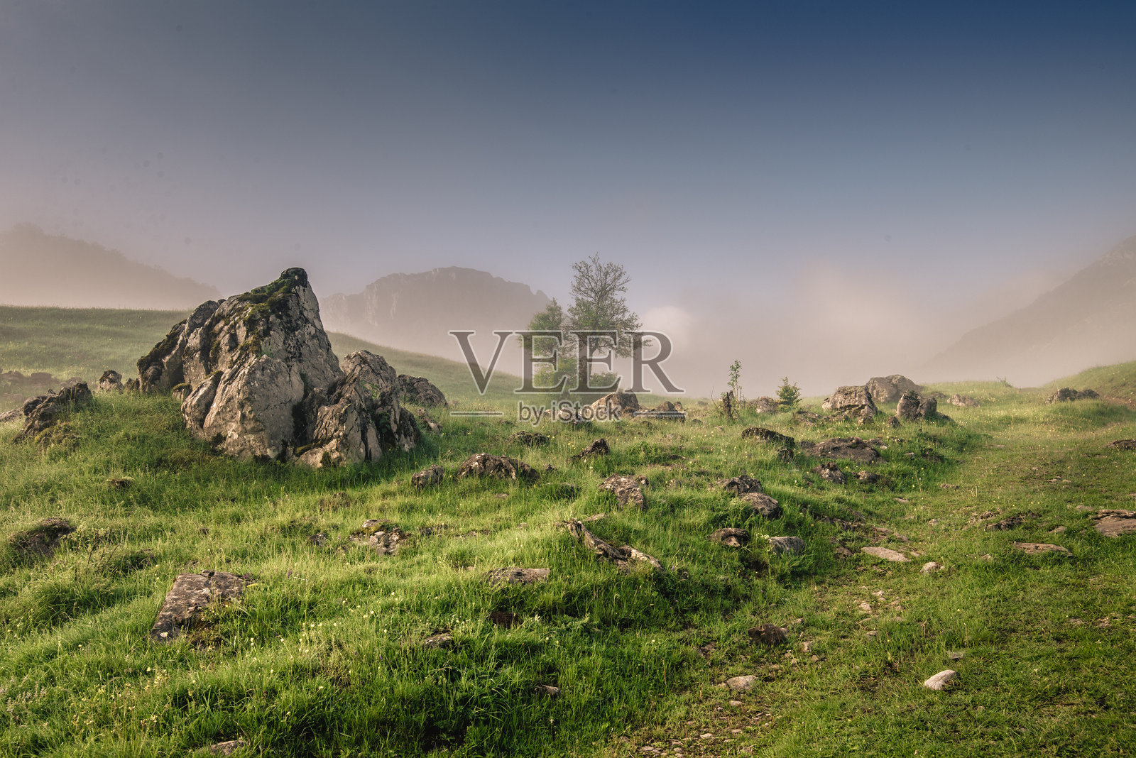 雾气弥漫的山间草甸，散落着岩石和树木，营造出宁静的自然风光照片摄影图片