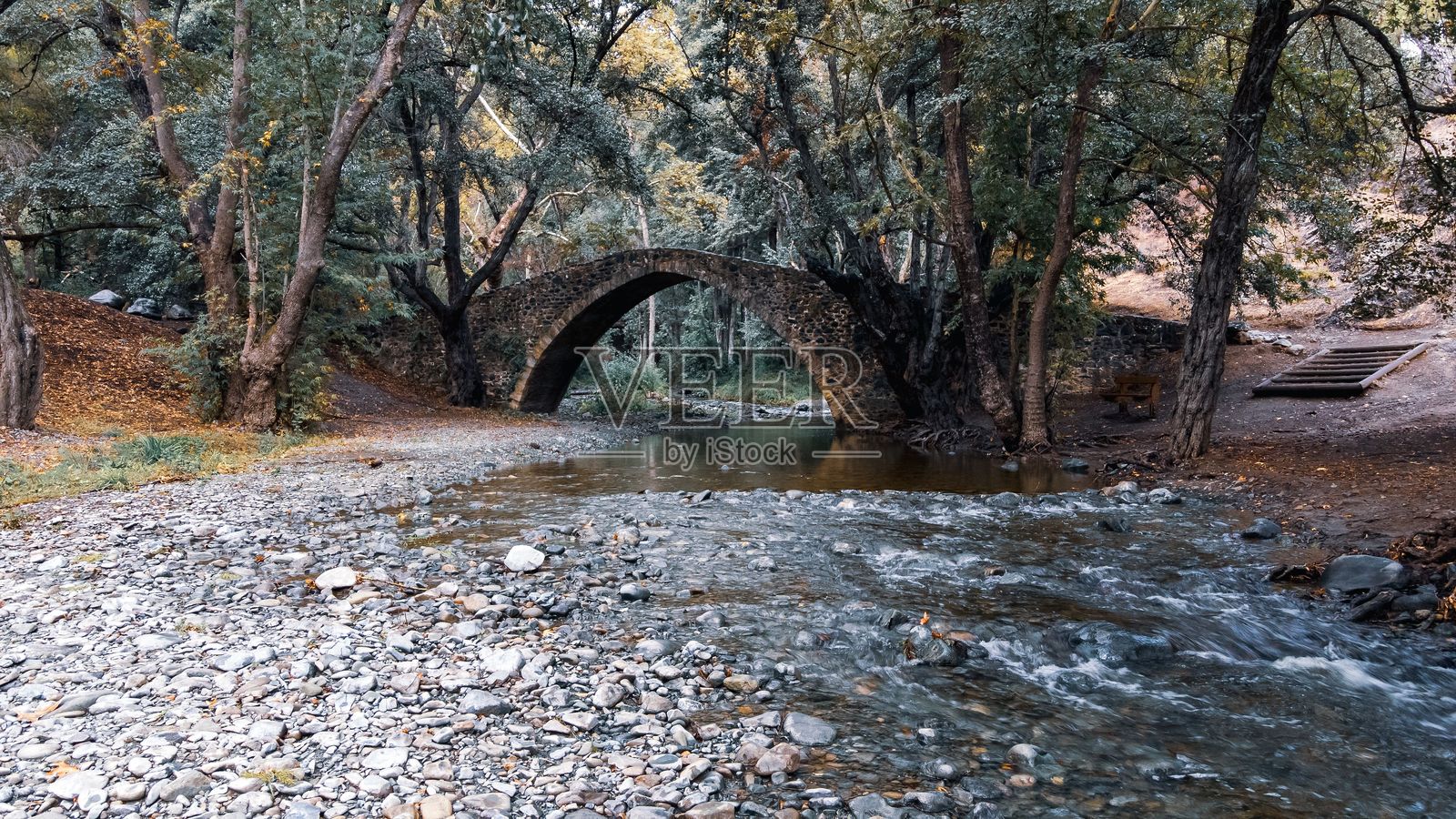 秋季森林中的石桥照片摄影图片