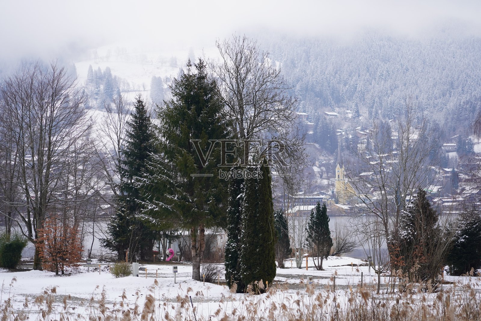 冬季环绕山湖的散步。被雪覆盖的施利尔湖。施利尔湖位于巴伐利亚阿尔卑斯山脚下。照片摄影图片