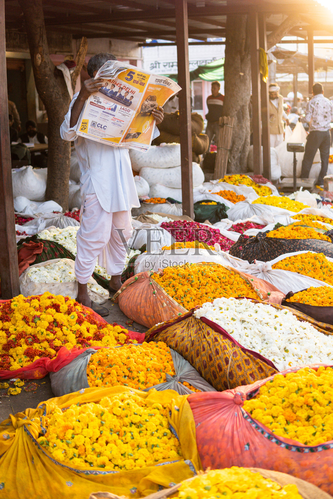 印度男子在印度斋浦尔的早市上出售供奉印度教的花卉。照片摄影图片