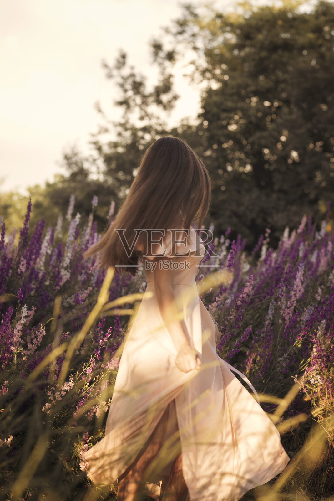 一位穿着轻盈长裙的纤细女孩站在盛开的田野中。照片摄影图片