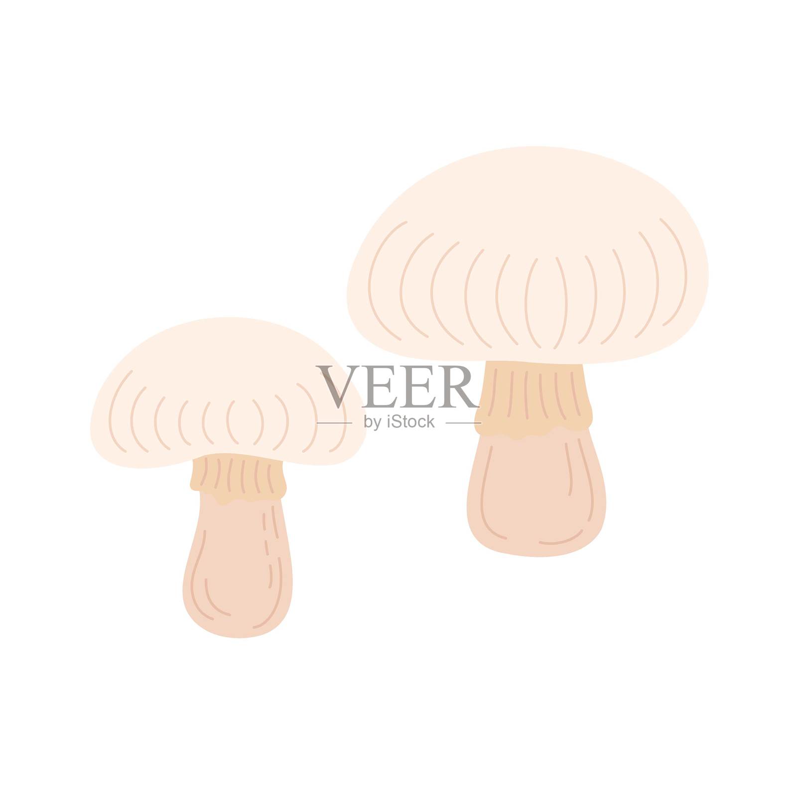 手绘按钮蘑菇矢量插图，适合烹饪美味菜肴的可食用真菌，生食成分的香菇，有机饮食与健康生活理念，良好饮食习惯的推广插画图片素材