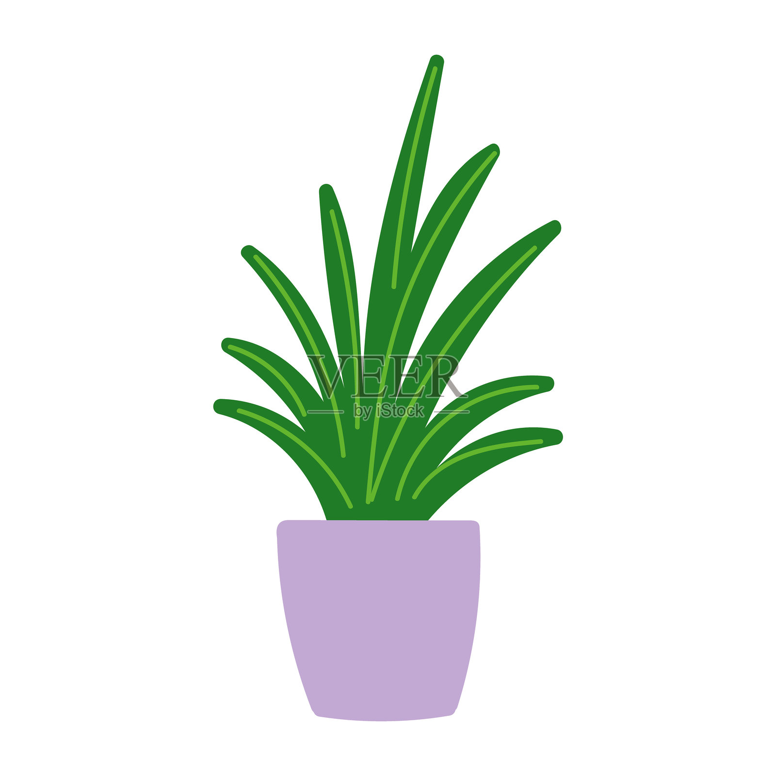 紫色花盆中的绿色植物，扁平卡通设计。矢量插图。插画图片素材