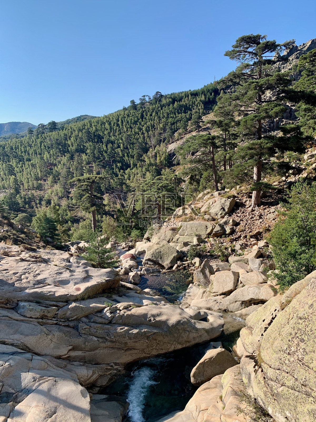 科西嘉的拉杜尔河照片摄影图片