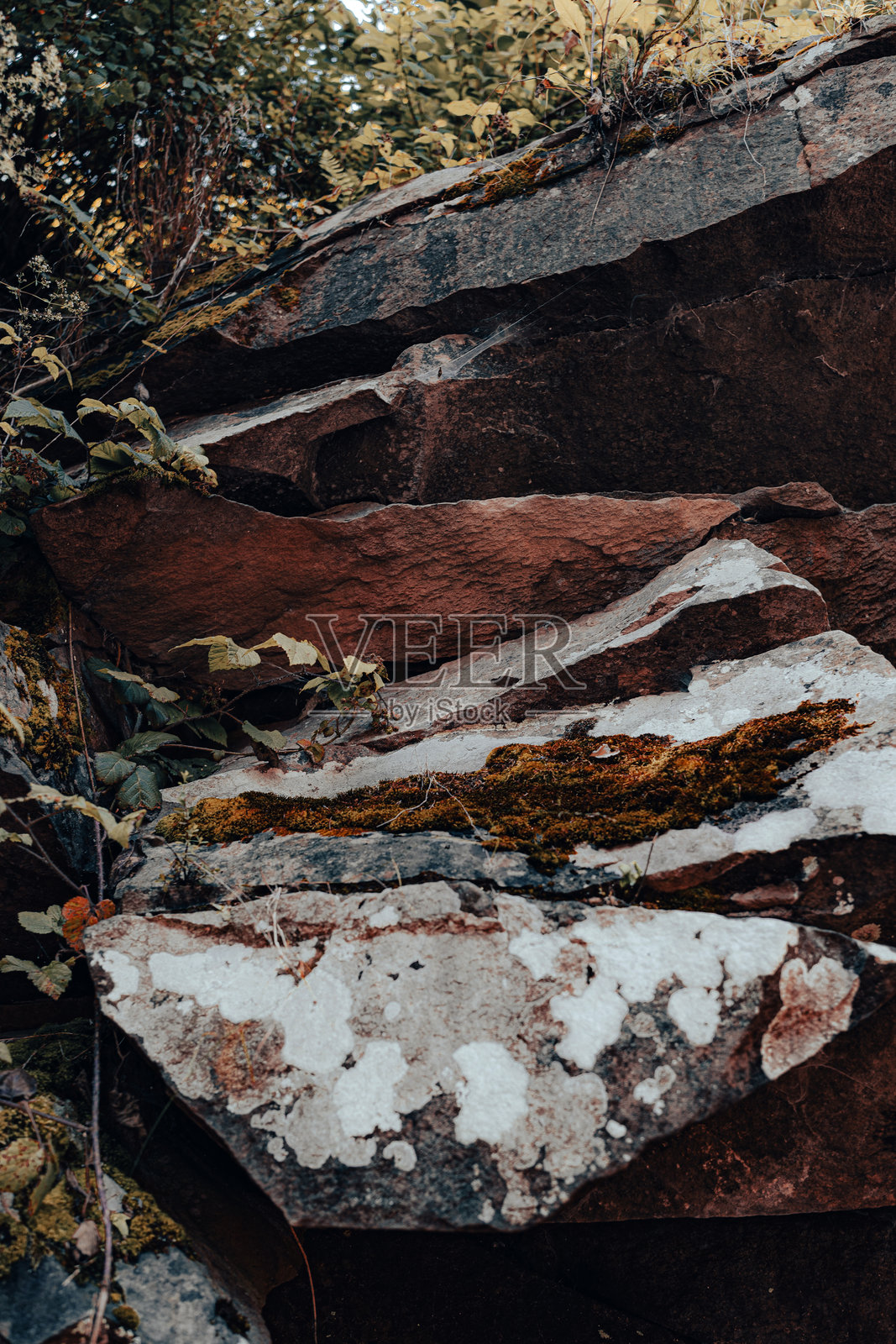 覆盖着苔藓和植物生命的自然岩石形成照片摄影图片