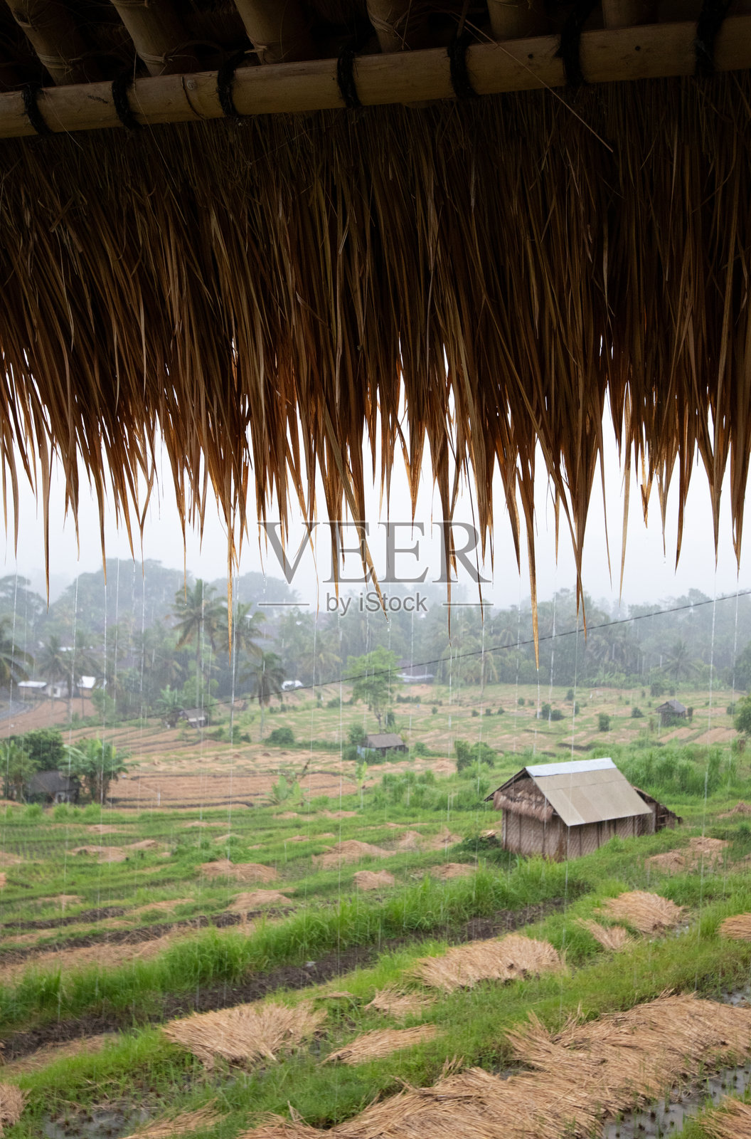 巴厘岛自然元素体验照片摄影图片