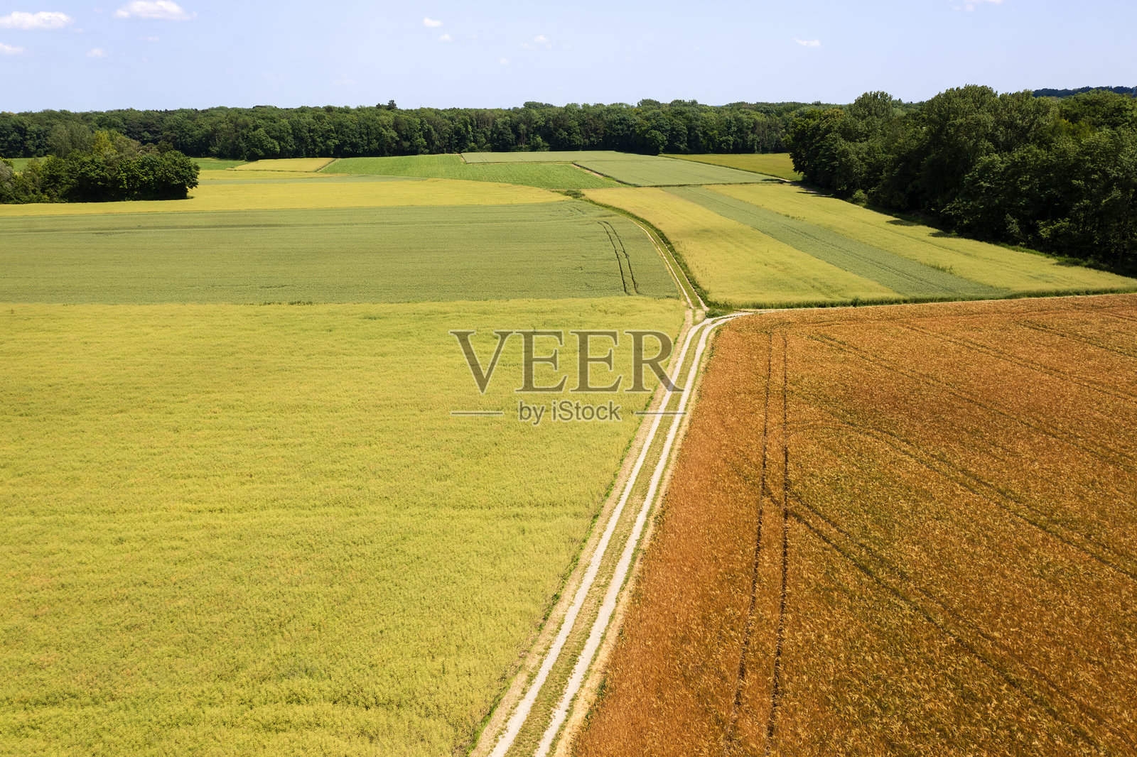 春天田野中的道路照片摄影图片