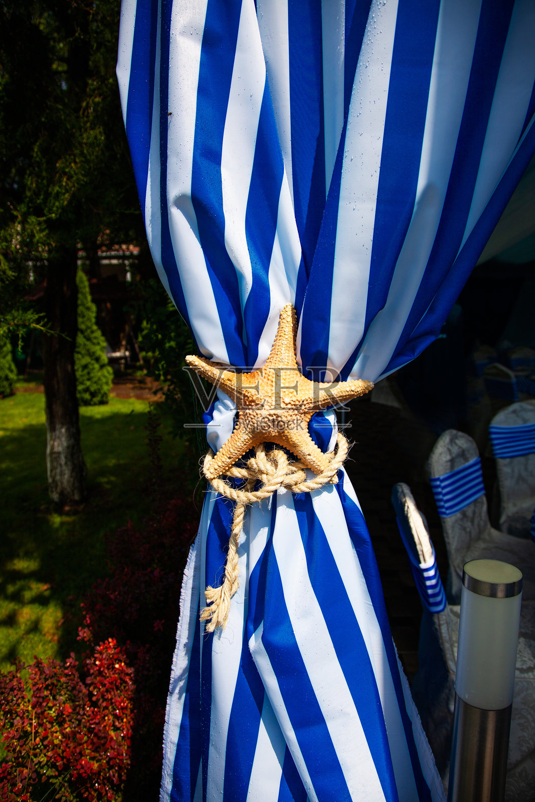 蓝白色窗帘上的干海星。海洋主题派对的装饰。照片摄影图片