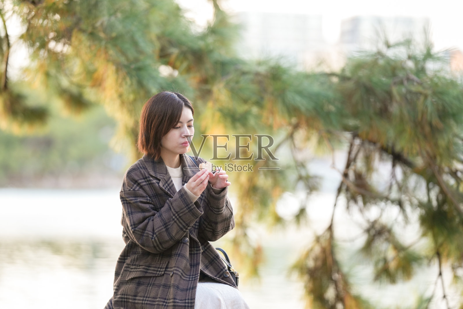 日本福冈市中央区大堀公园的冬天。一位29岁的日本女性穿着格子外套，坐在池塘边的椅子上，享用甜点。照片摄影图片