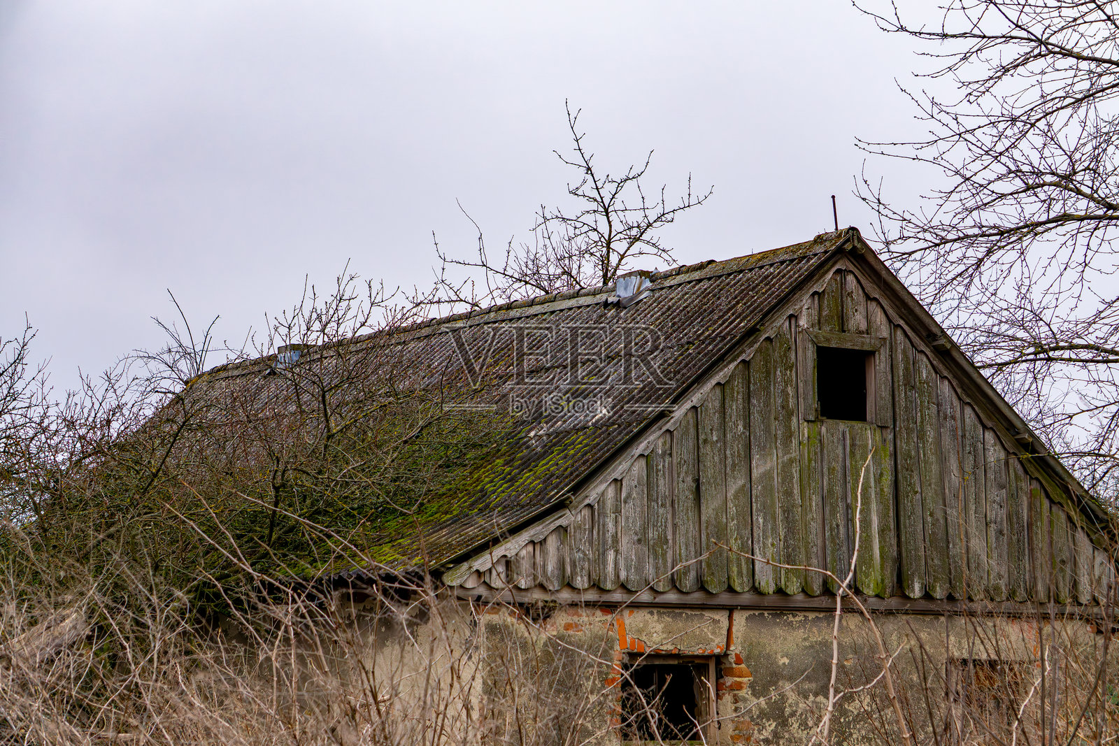 一座被遗弃的老砖小屋，木质屋顶上覆盖着绿色苔藓，坐落在荒无人烟的灌木丛中，屋顶破损。照片摄影图片