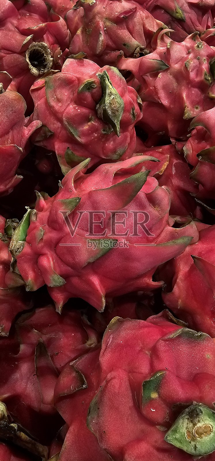 一堆火龙果照片摄影图片