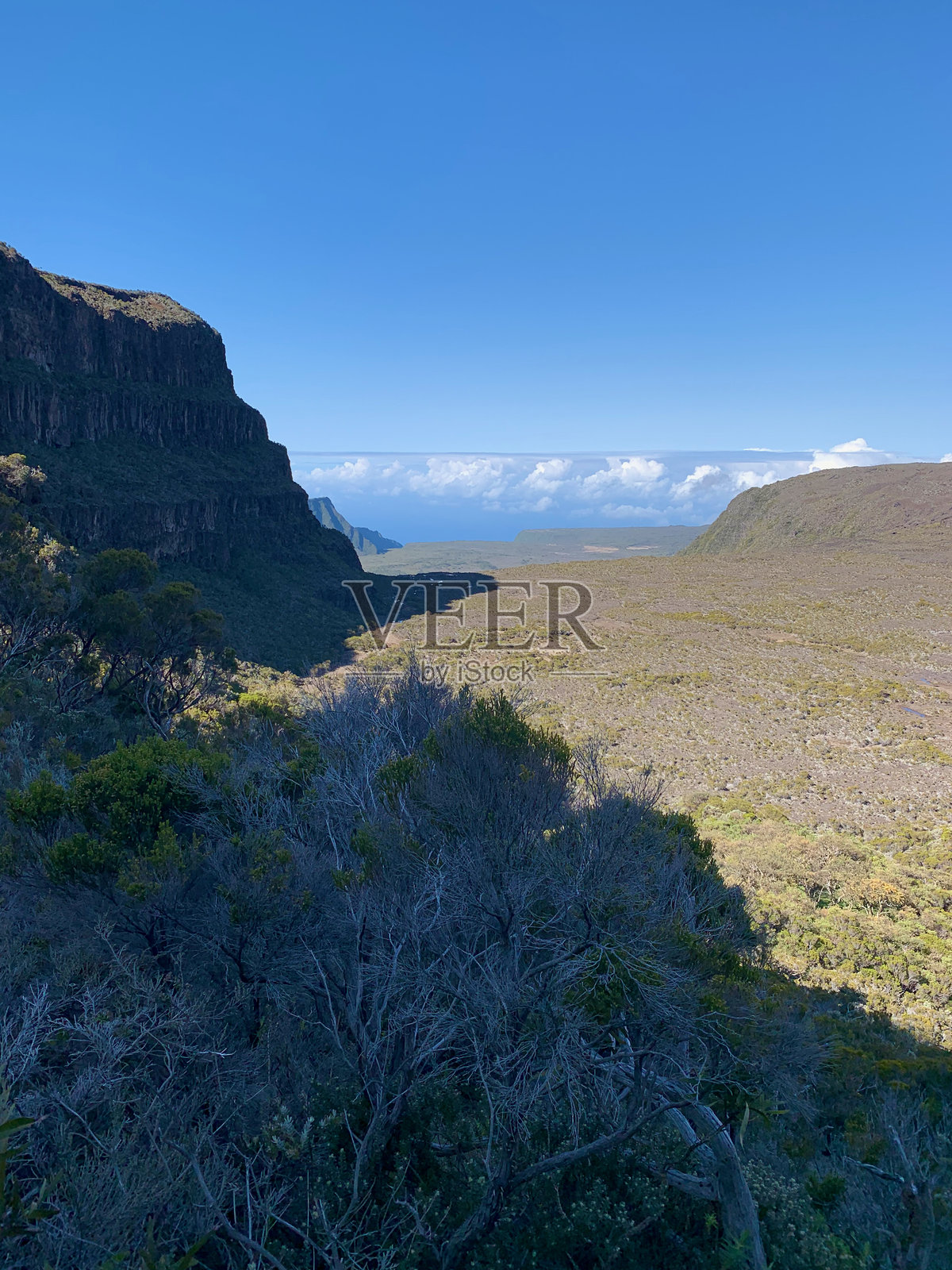 留尼汪岛东河的背景照片摄影图片