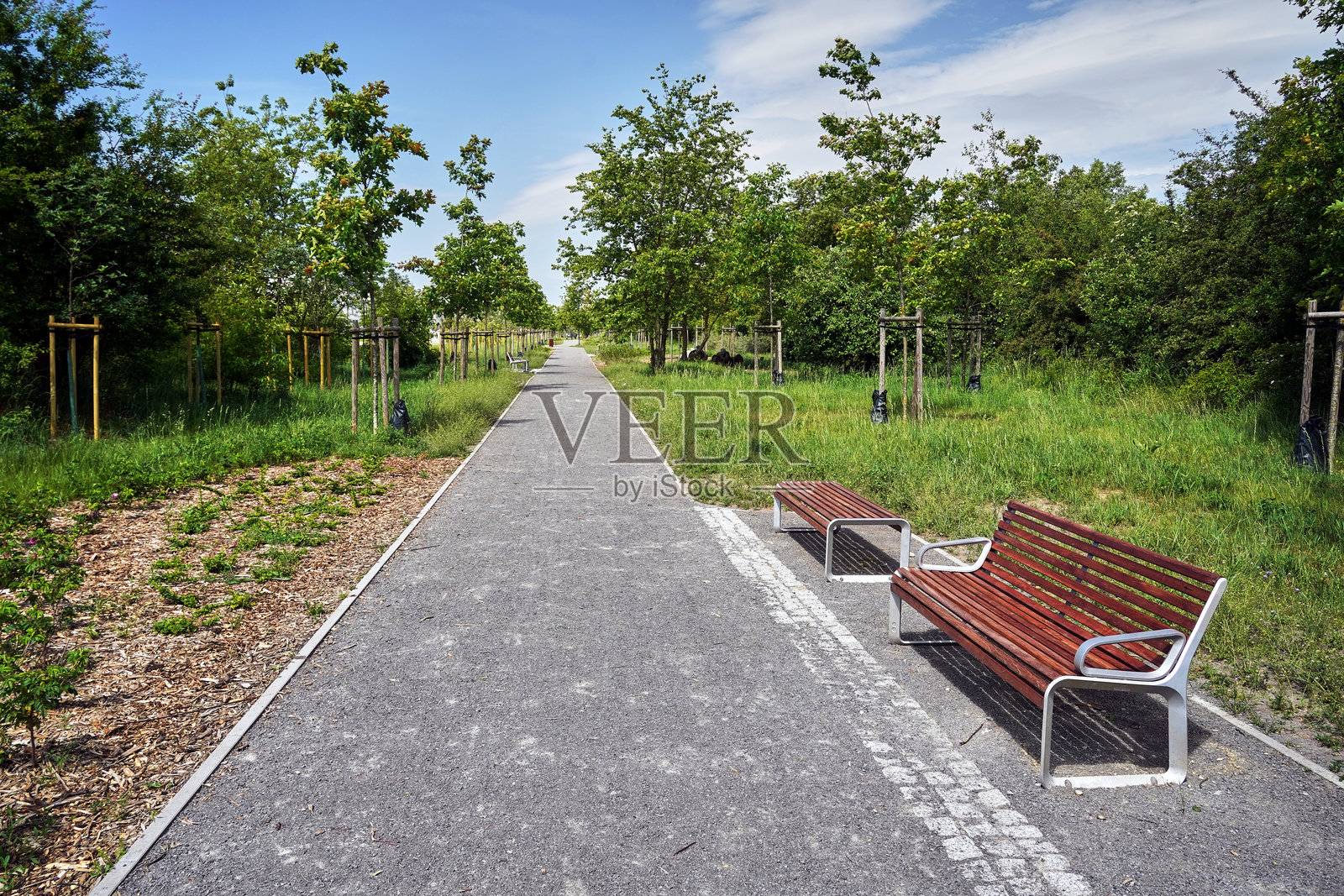 波兰波兹南市公园内的步道和木制长椅照片摄影图片