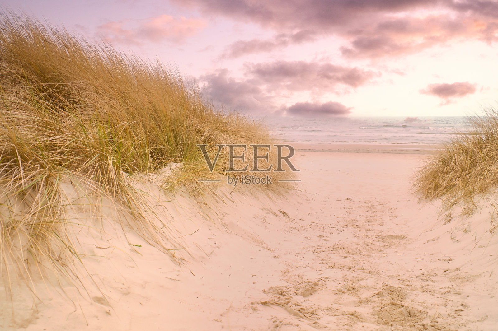 乌瑟东岛通往波罗的海的海滩穿越。白色沙滩和沙丘草。照片摄影图片