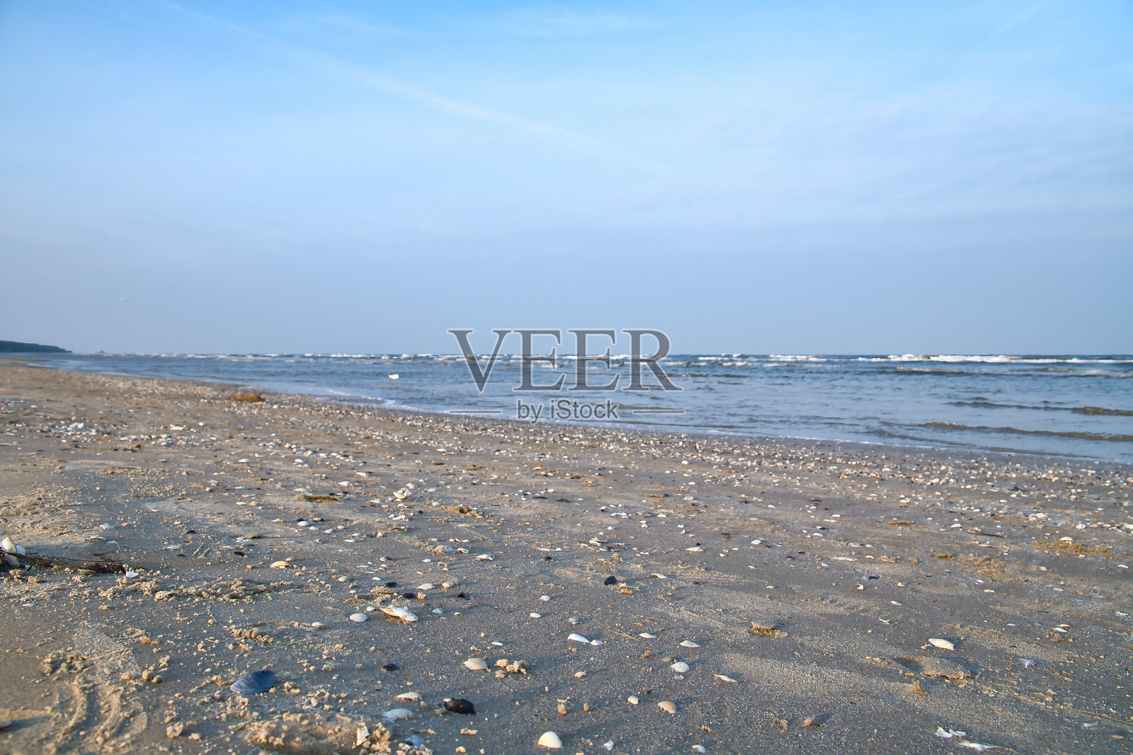 乌瑟东岛的海滩景观，满是贝壳。波罗的海照片摄影图片