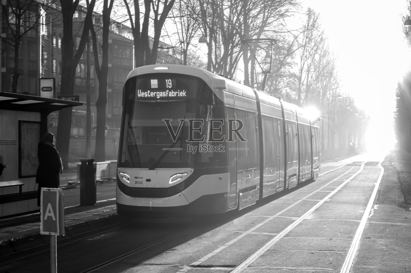 从背后看阳光照射下的19号电车照片摄影图片