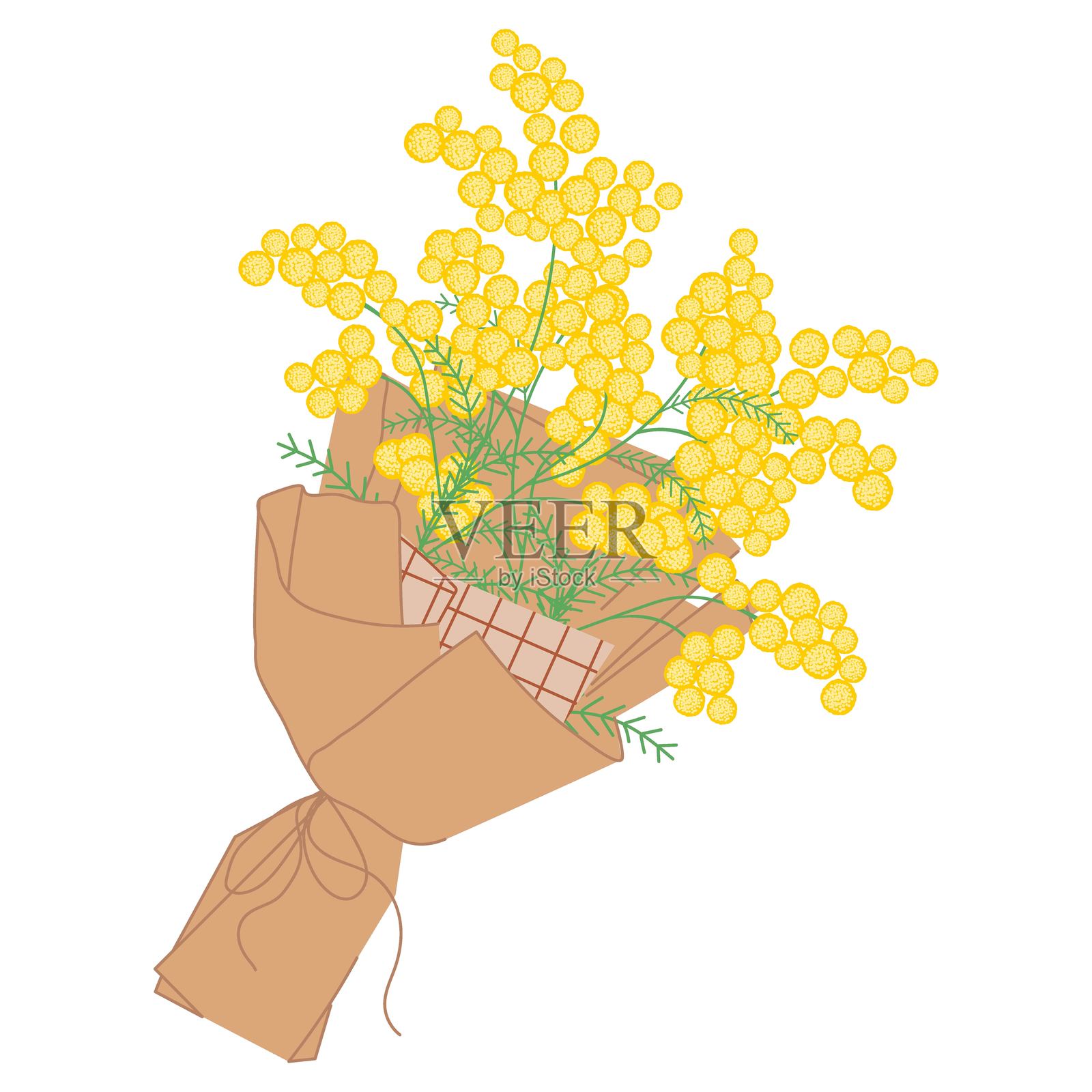 用装饰纸包裹的黄色含羞草花束，系着丝带。春季节日的柔和优雅风格花卉插图。插画图片素材
