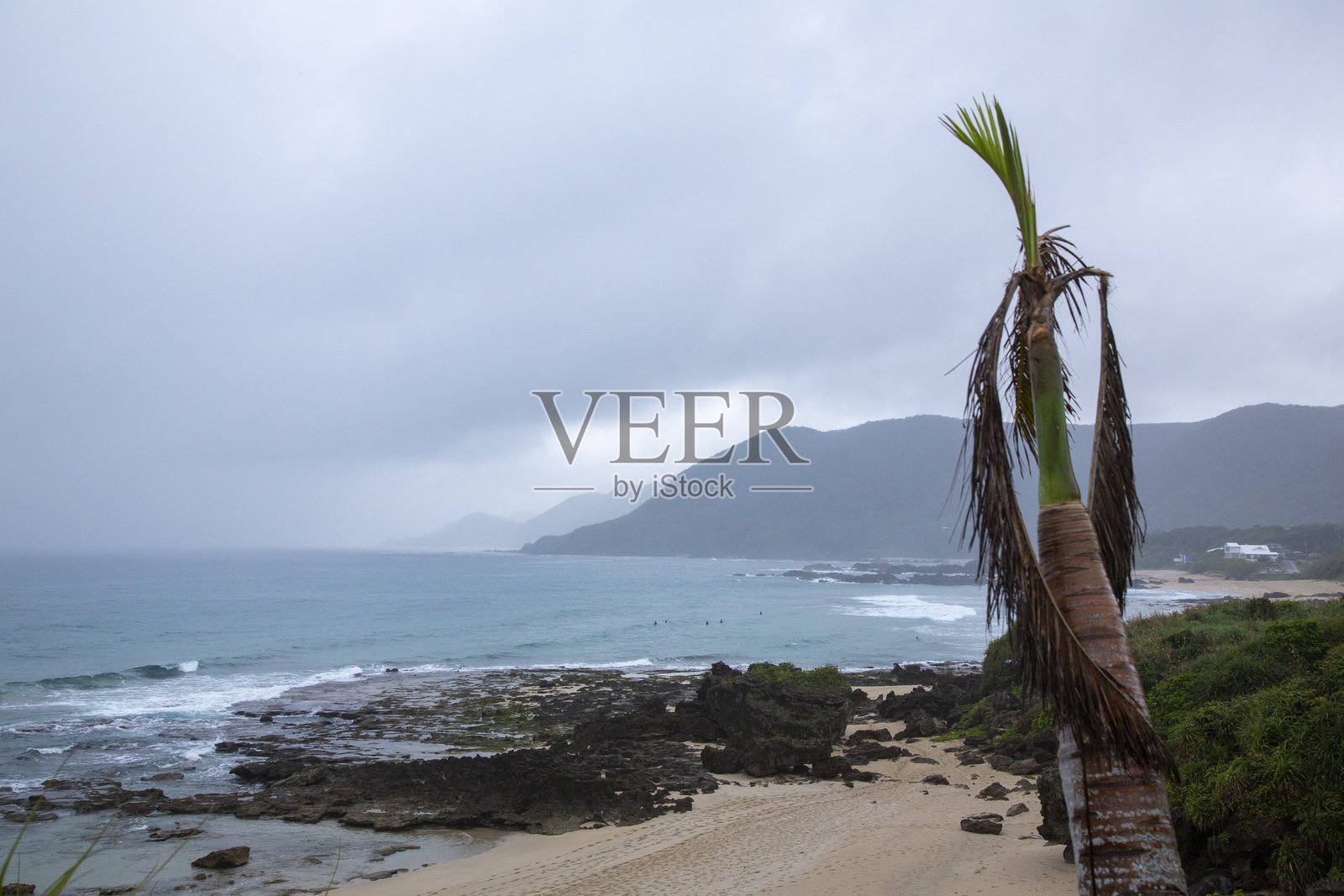 奄美大岛的自然既富有创意又引人入胜照片摄影图片