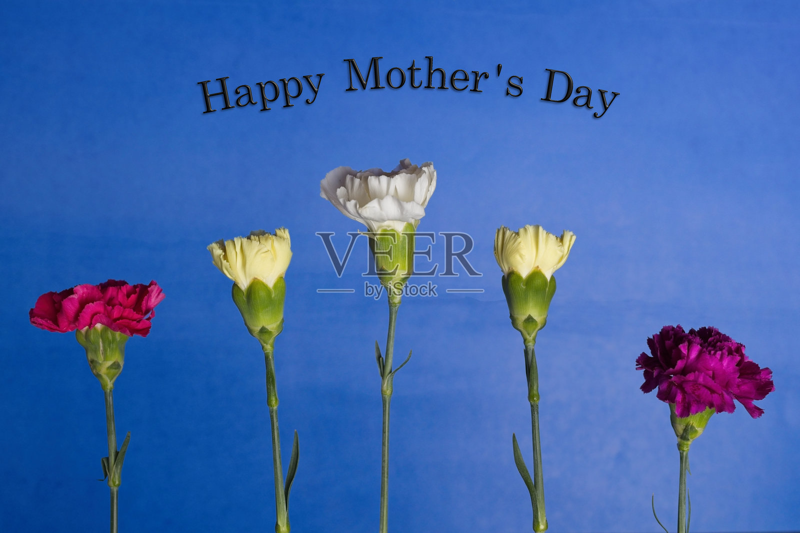 母亲节快乐照片摄影图片