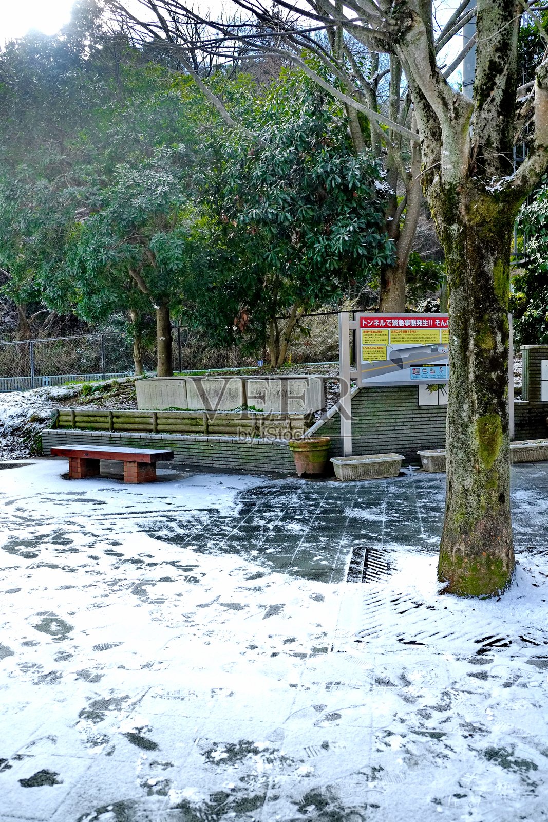 冬季雪覆盖的公共公园，光秃的树木和脚印照片摄影图片