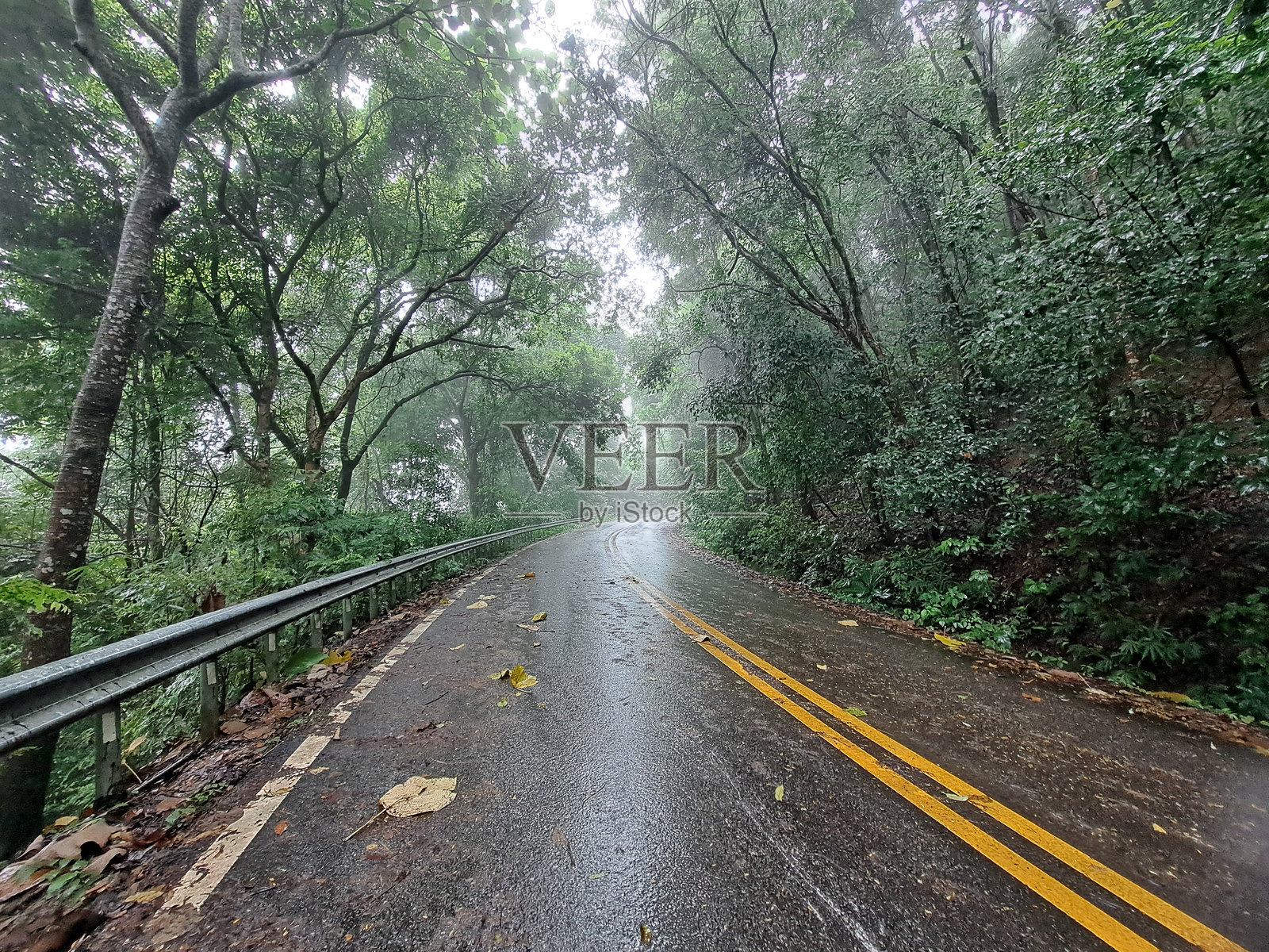 在雨天的湿滑沥青路上行驶，路径穿过森林，偶尔有弯道，正值雨季。照片摄影图片