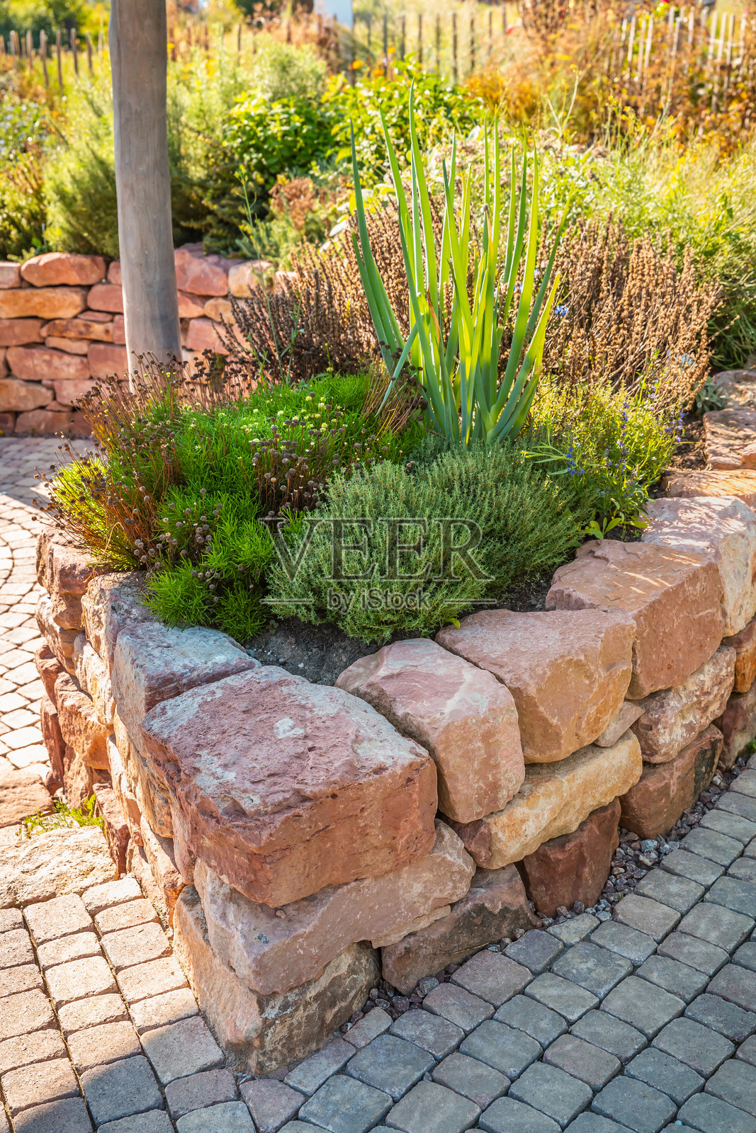 现代蔬菜园，带有砖砌高架床。在城市花园中进行高架床种植，种植植物和蔬菜。照片摄影图片