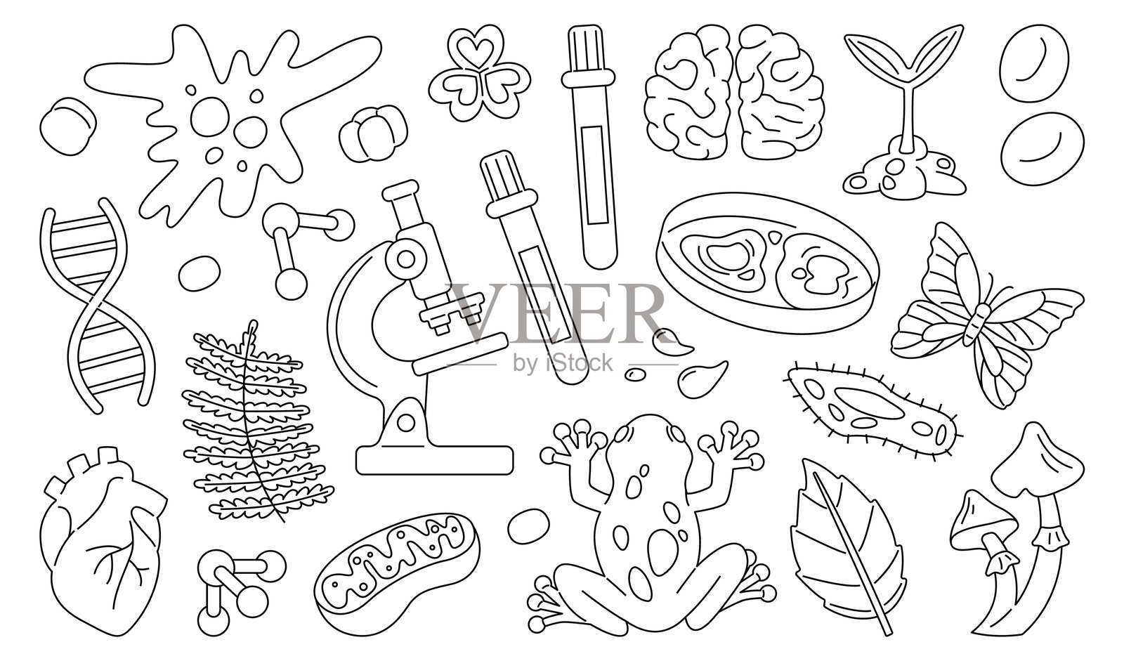 生物科学线条艺术图标集插画图片素材