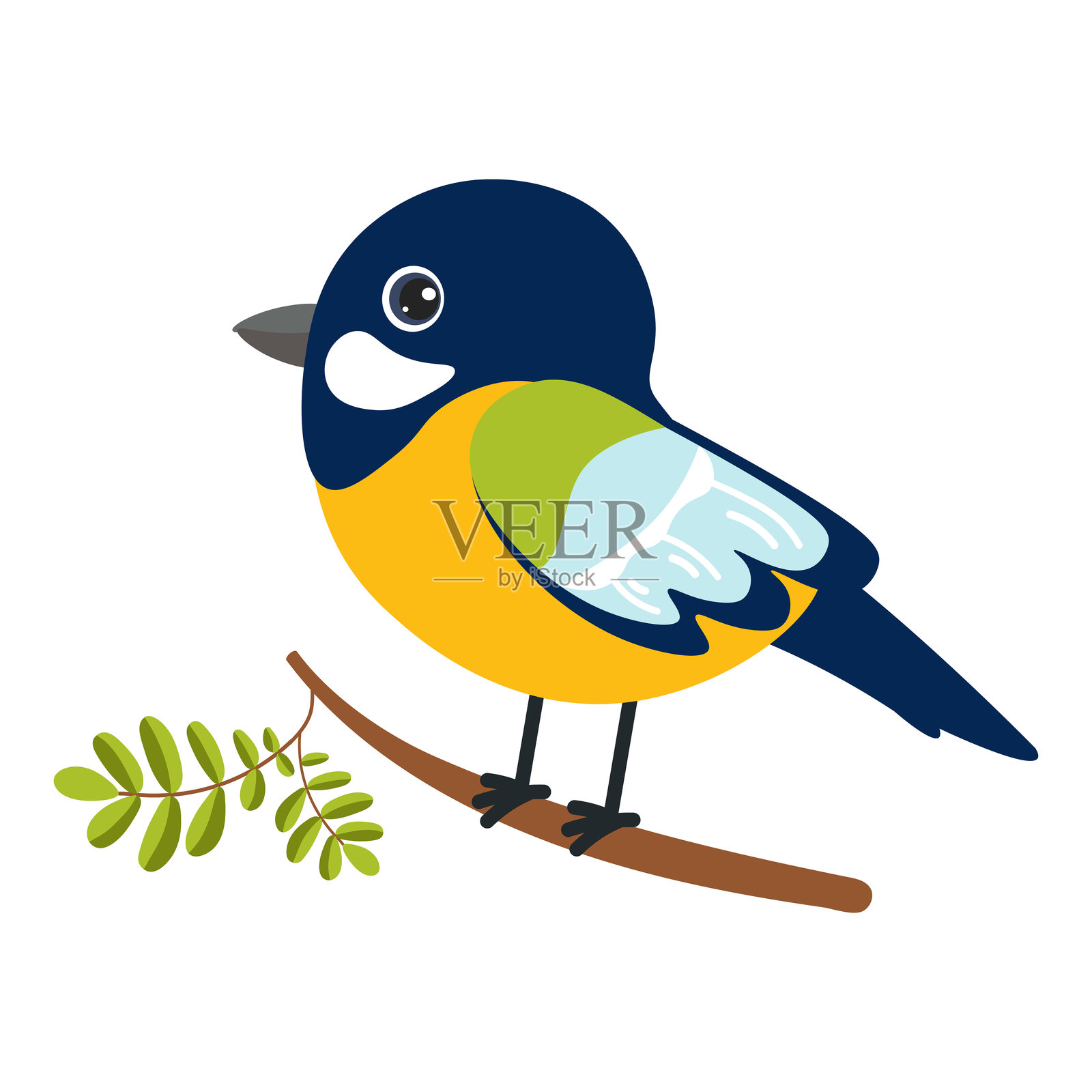 色彩斑斓的鸟栖息在白色背景的树枝上插画图片素材