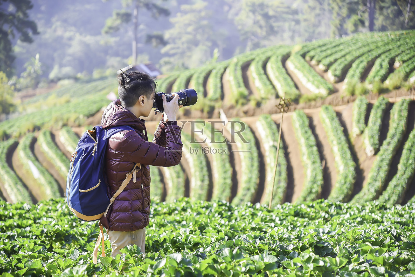 自然摄影师旅行者拍摄美丽的晨景照片摄影图片