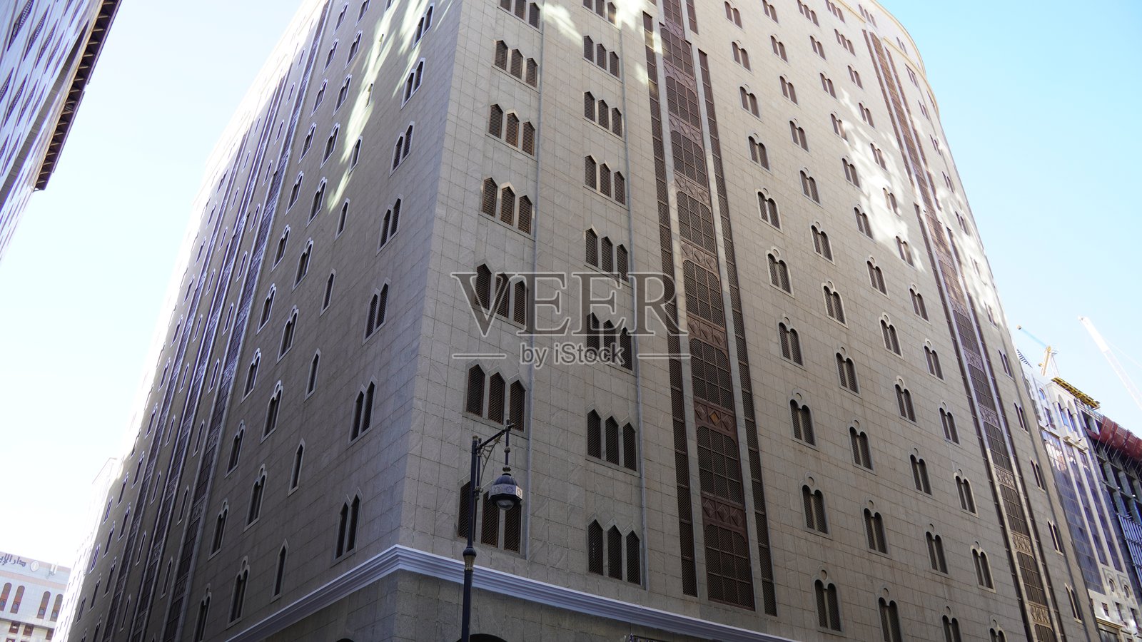 阿尔安萨尔金色郁金香照片摄影图片