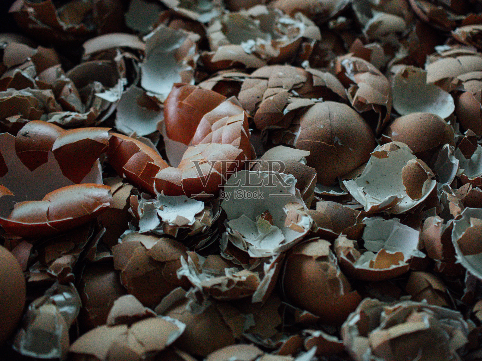 蛋壳照片摄影图片