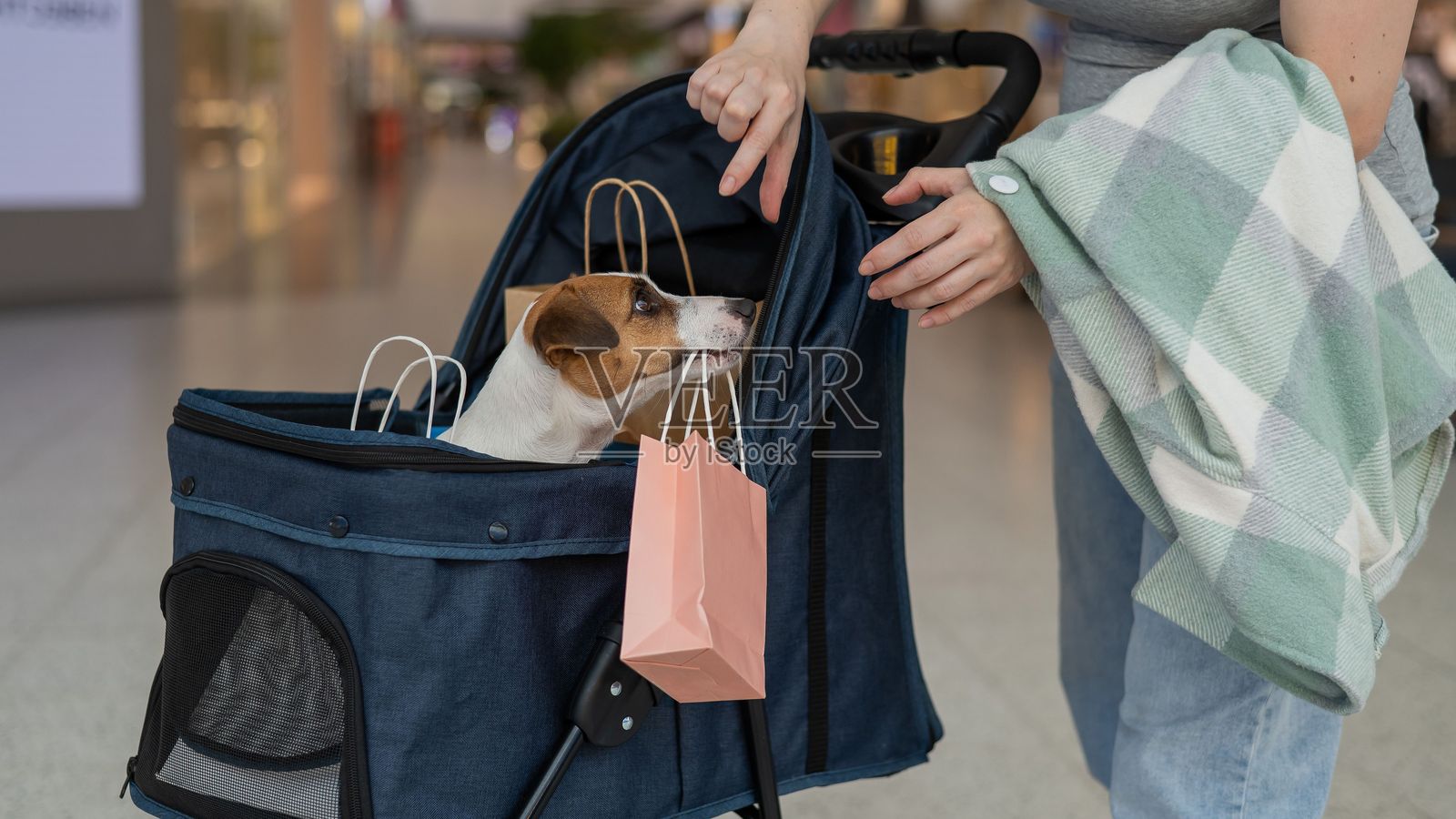 一位白人女性在购物中心推着她的杰克拉塞尔犬购物。照片摄影图片