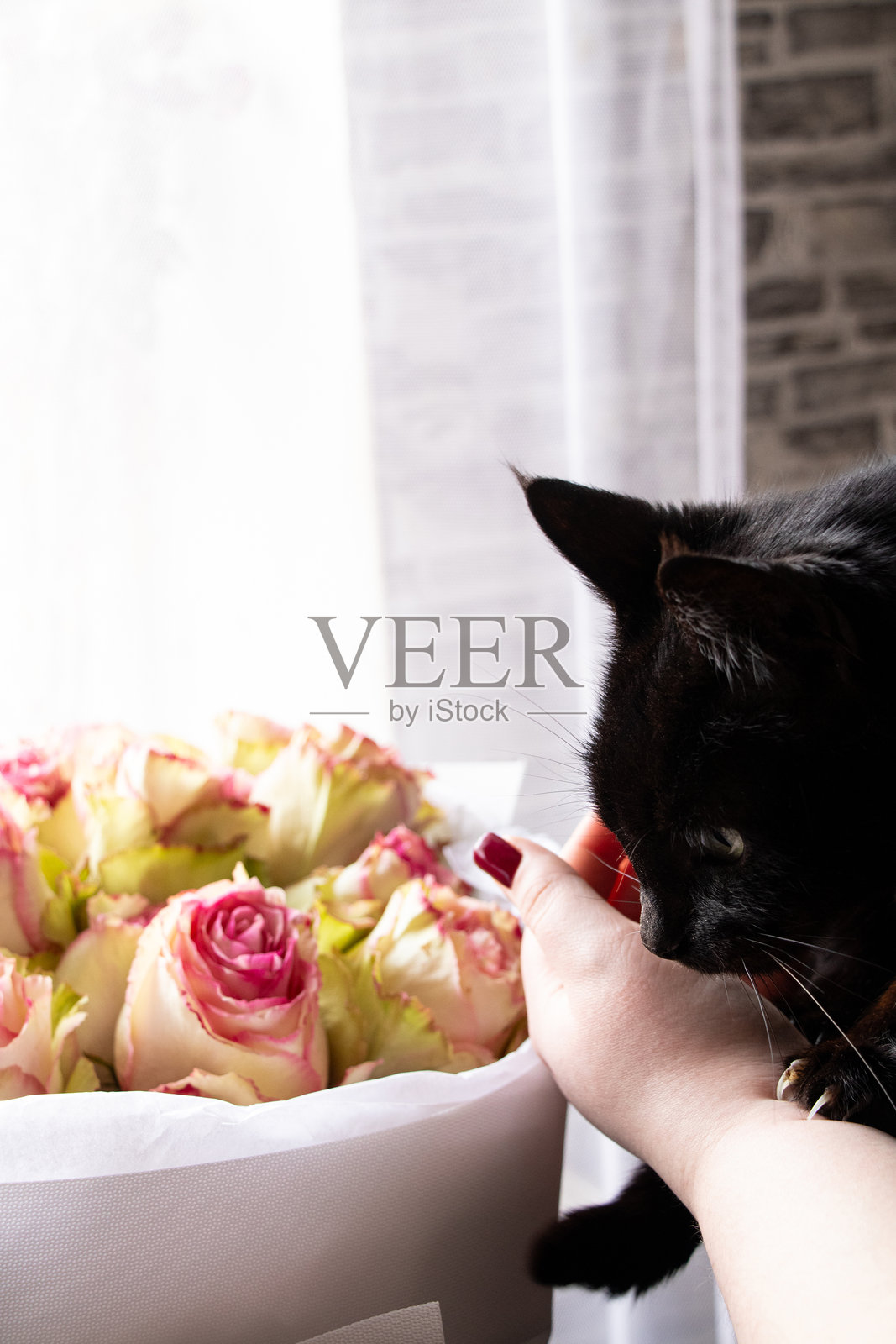 一个女孩和一只黑猫站在窗边的玫瑰花束旁，花是为了生日准备的。照片摄影图片
