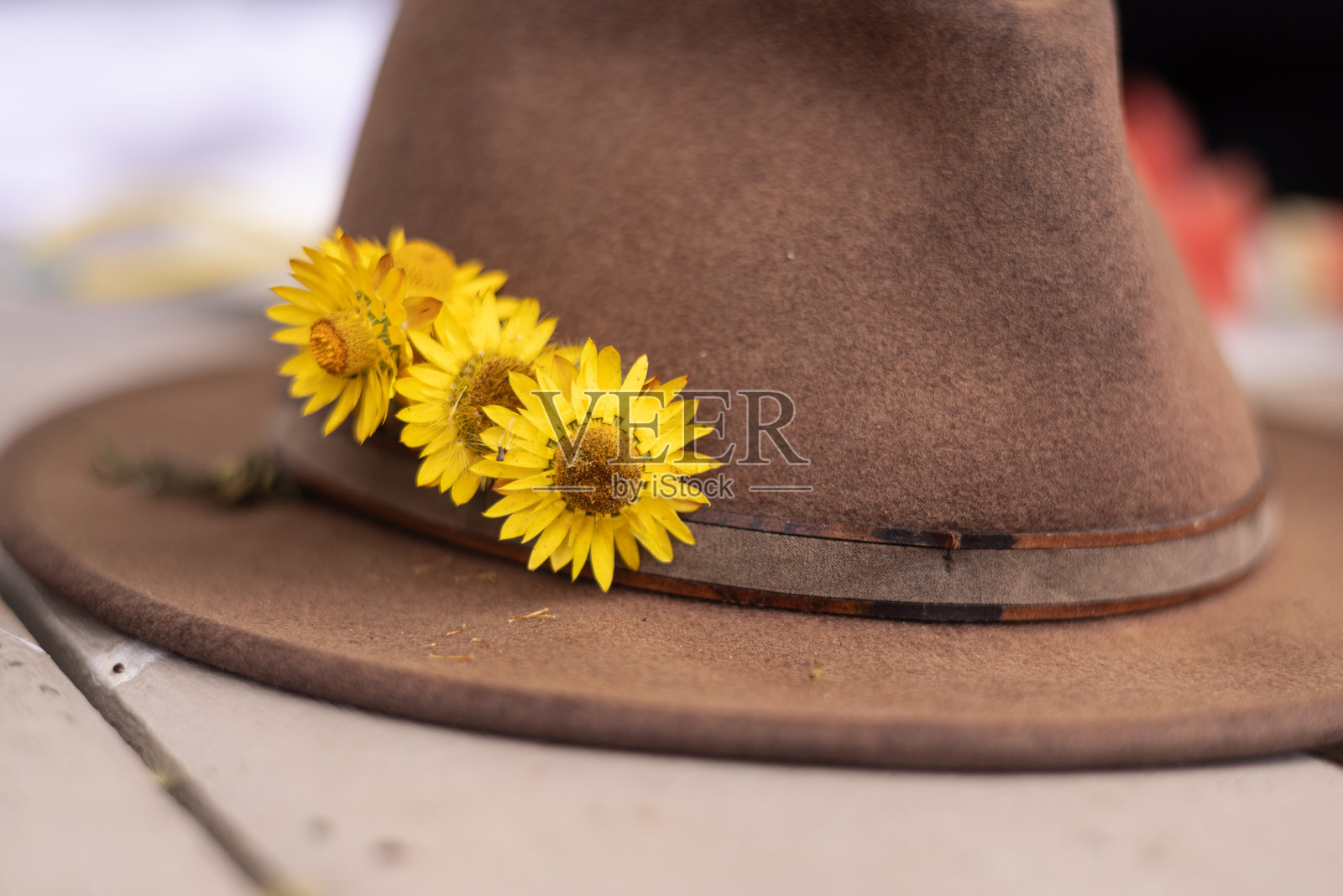 带有澳大利亚永恒雏菊野花的草帽照片摄影图片
