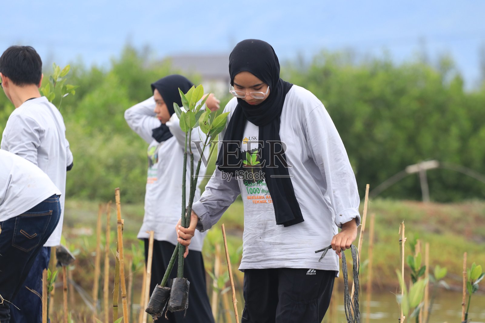 环保社区种植红树林照片摄影图片
