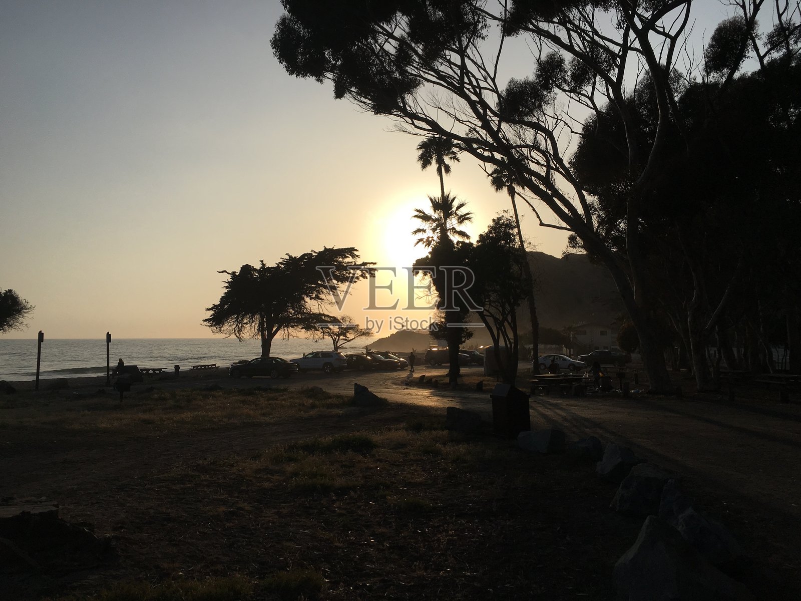 杜梅角日落照片摄影图片