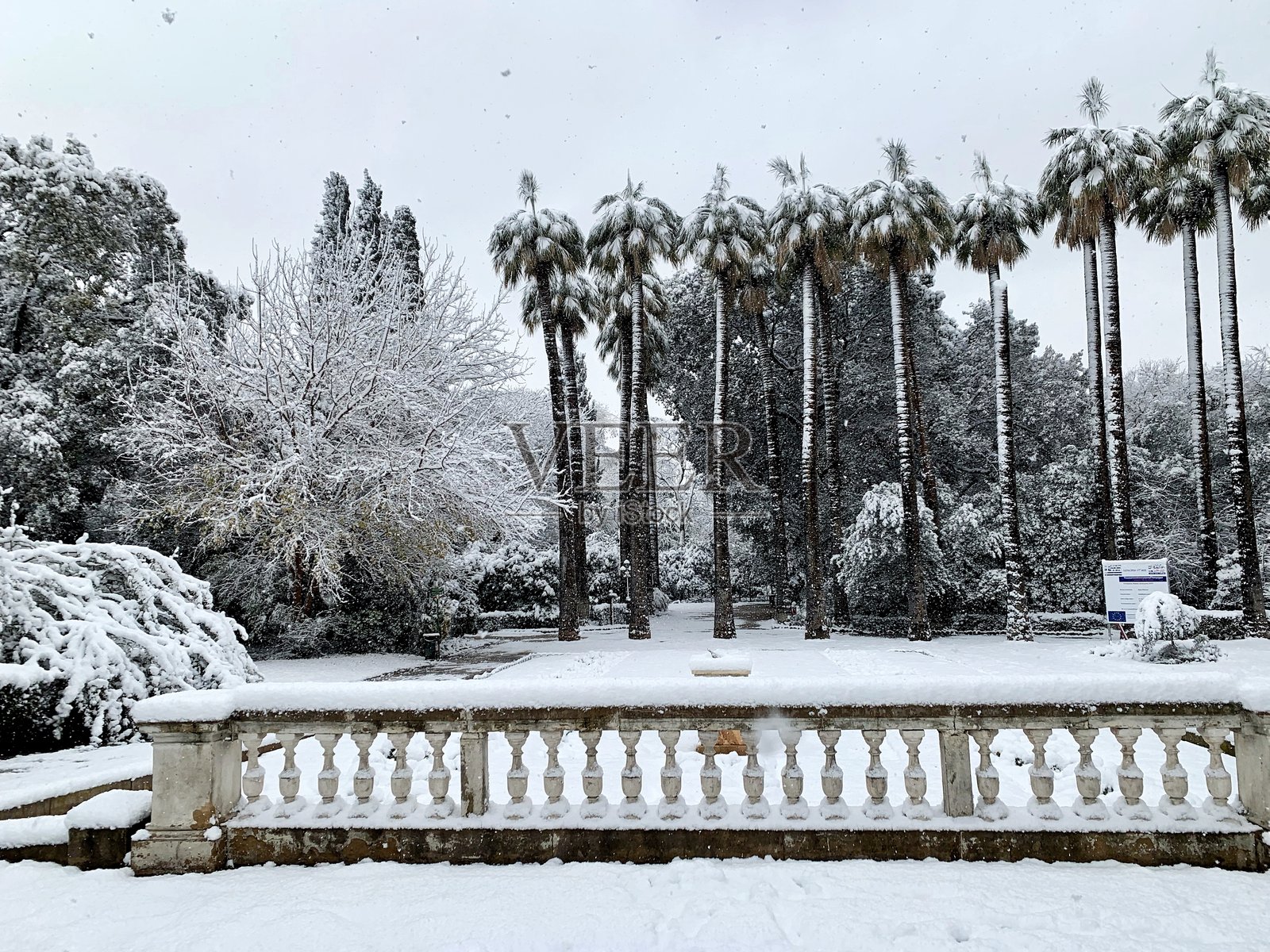 国家公园的雪景照片摄影图片