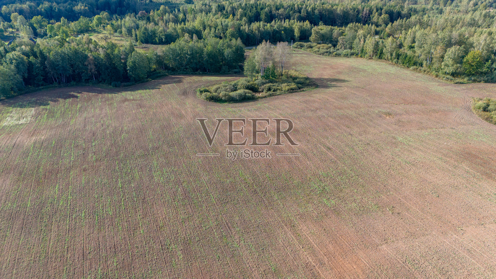 空旷田野的鸟瞰图，中央有一片树丛照片摄影图片